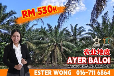 /international/my/pontian-johor-370120403526/