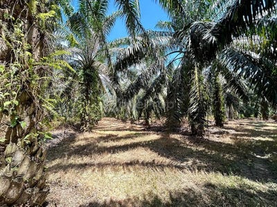 /international/my/5-lengkok-kampar-taman-kampar-30250-ipoh-perak-malaysia-ipoh-perak-370120480655/