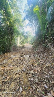 /international/my/selangor-kajang-selangor-370120444460/