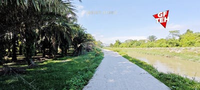/international/my/jalan-keruing-jalan-kruing-lorong-keruing-simpang-ampat-penang-370120442308/