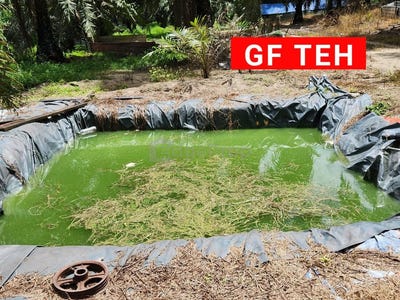 /international/my/bandar-baharu-kedah-370120233555/