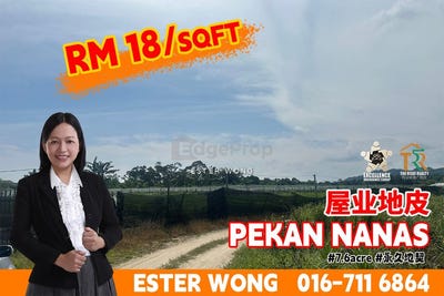 /international/my/pekan-nanas-pekan-nenas-johor-370120447588/