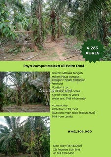 /international/my/paya-rumput-melaka-370120480707/