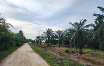 /international/my/manjung-perak-370120380216/