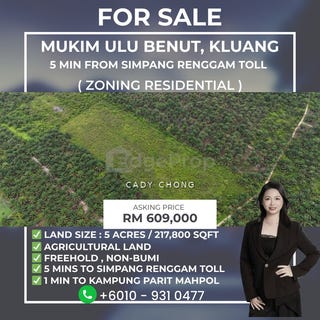 /international/my/mukim-ulu-benut-kluang-kluang-johor-370120495447/