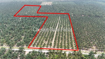 /international/my/batu-pahat-johor-370120506646/