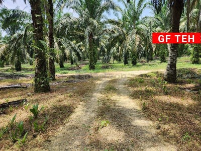 /international/my/selama-perak-370120236160/