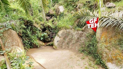 /international/my/kulim-kedah-370120266152/