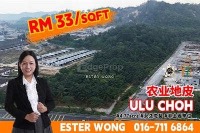 /international/my/pekan-nenas-johor-370120401760/