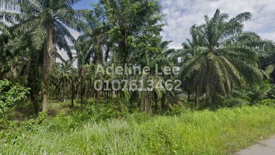 /international/my/jalan-gelang-patah-gelang-patah-johor-gelang-patah-johor-370120495439/