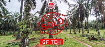 /international/my/padang-serai-kedah-370120236544/