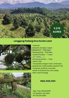 /international/my/hulu-perak-perak-370120480263/