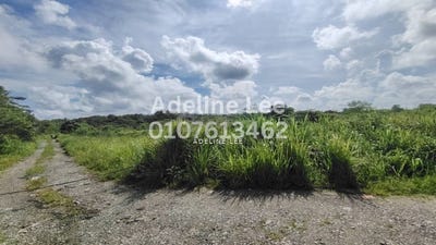 /international/my/sungai-tiram-ulu-tiram-johor-ulu-tiram-johor-370120494221/