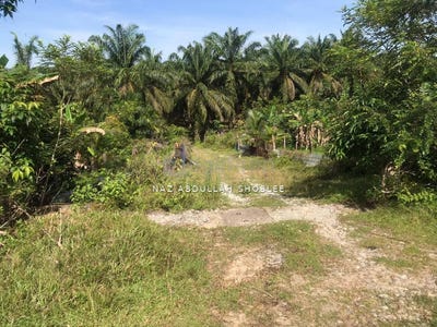 /international/my/chukai-terengganu-370120291832/