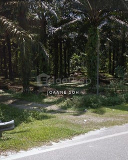 /international/my/kampar-perak-370120273009/