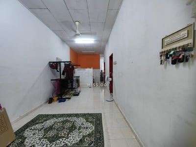 /international/my/pokok-sena-kedah-370120439886/