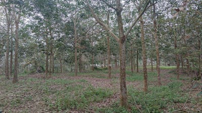 /international/my/melaka-melaka-370120444701/