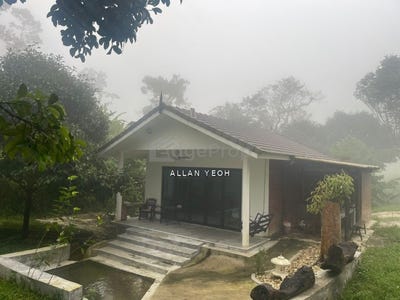 /international/my/balik-pulau-penang-370120291756/