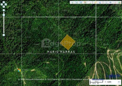 /international/my/kampung-kuala-rasau-slim-river-hilir-perak-perak-370120319260/