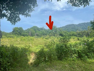 /international/my/kampung-labohan-kerteh-terengganu-370120300372/