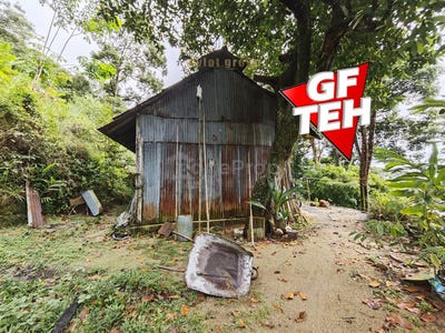 /international/my/ayer-itam-penang-370120440377/