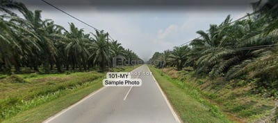 /international/my/kuala-selangor-selangor-370120385841/