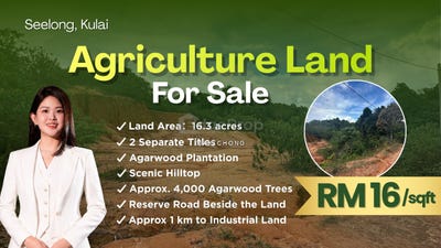 /international/my/seelong-kulai-senai-kedah-370120436760/