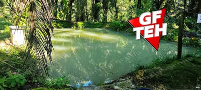 /international/my/kulim-kedah-370120319026/