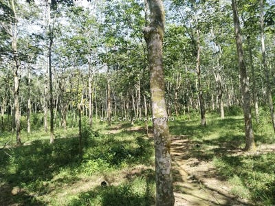 /international/my/batu-gajah-perak-370120602772/