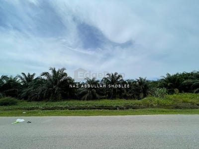 /international/my/jenjarom-selangor-370120290510/