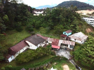 /international/my/cameron-highland-jalan-tanah-rata-cameron-highlands-pahang-370120177871/