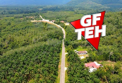 /international/my/kuala-ketil-kedah-370120439038/