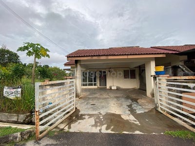 /international/my/pekan-pahang-370120341934/