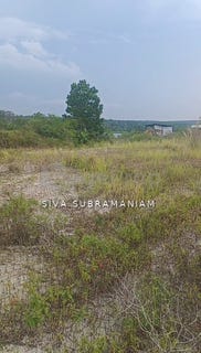 /international/my/ulu-tiram-johor-370120494323/