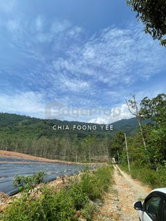 /international/my/hulu-langat-selangor-370120438609/