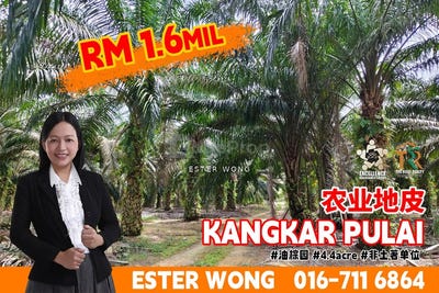 /international/my/jalan-pulai-tuah-kangkar-pulai-johor-370120322124/