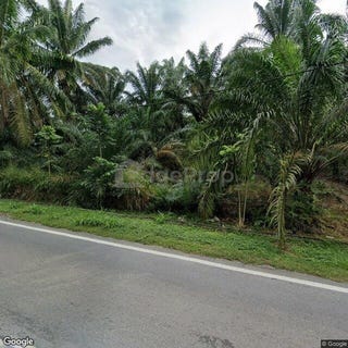 /international/my/pontian-johor-370120443783/