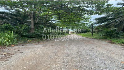 /international/my/jalan-kota-tinggi-ulu-tiram-johor-ulu-tiram-johor-370120494288/