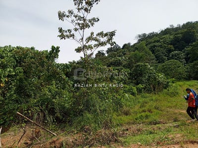 /international/my/hulu-langat-selangor-370120445350/