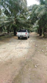 /international/my/jenjarom-selangor-370120388010/
