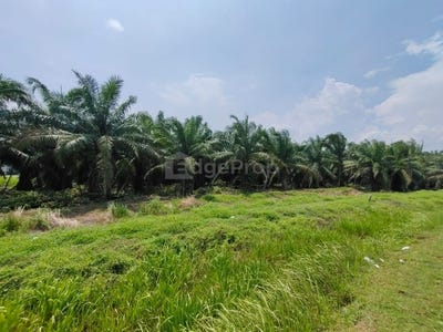 /international/my/jalan-benteng-kapar-selangor-370120186902/