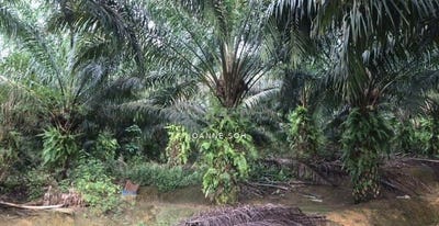/international/my/balakong-selangor-balakong-selangor-370120273687/