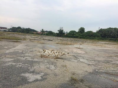 /international/my/41200-klang-selangor-klang-selangor-370120496033/