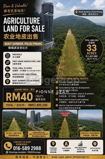 /international/my/halaman-bukit-gambier-gelugor-penang-370120297723/