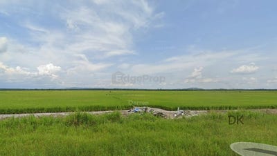 /international/my/langkap-perak-changkat-jong-nearby-kampung-kampung-goh-hong-perak-agriculture-land-kampong-gajah-perak-370120444765/