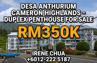 /international/my/l-19-off-jalan-pahang-39000-pahang-cameron-highlands-pahang-370120342574/
