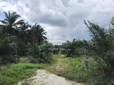 /international/my/kuala-langat-selangor-370120274096/