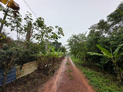/international/my/alor-gajah-melaka-370120245178/