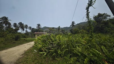 /international/my/balok-pahang-370120243514/
