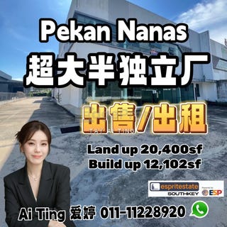 /international/my/pekan-nanas-pekan-nenas-johor-370120273110/